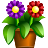 Flowers-ico